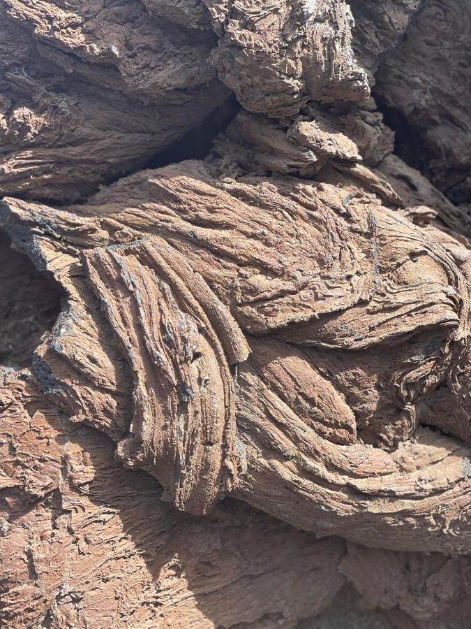 Izaro Apartamento Atico De Lujo Cerca De Playa Dorada Playa Blanca Dış mekan fotoğraf